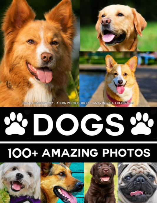 Dog Photography - a Dogs Picture Book - Amazing Big Collection: 100+ Amazing Pictures of Dogs in This Beautiful Photo Book