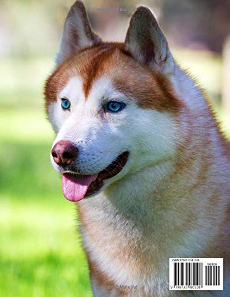 Dog Photography - a Dogs Picture Book - Amazing Big Collection: 100+ Amazing Pictures of Dogs in This Beautiful Photo Book