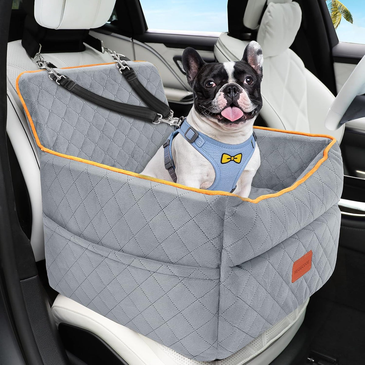 Small Dog Car Seat, Memory Foam Dog Booster Seats with Thick Cushion for Medium Dogs under 35Lbs, Detachable Washable Pet Car Seat with Storage Pockets,2 Safety Belts